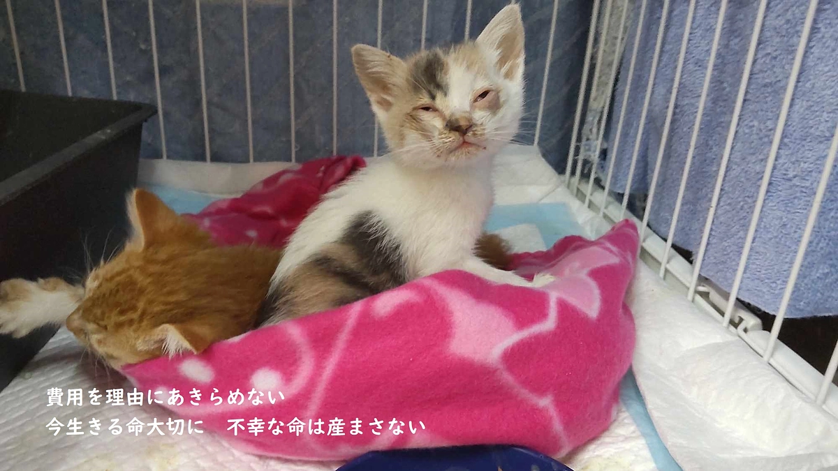 代理支援について