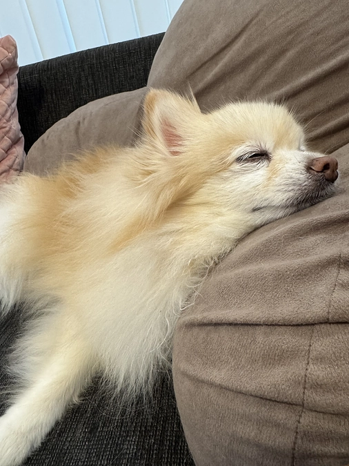 今日のちゅらです☺️