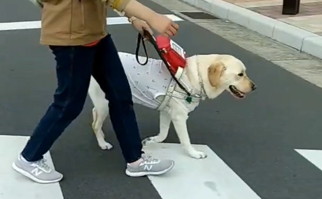 訓練風景(2024/01/29）