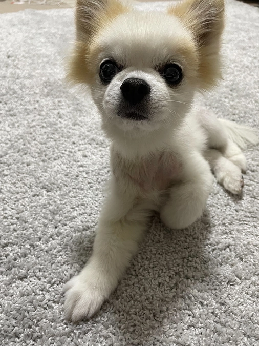 断薬のお知らせ‼️