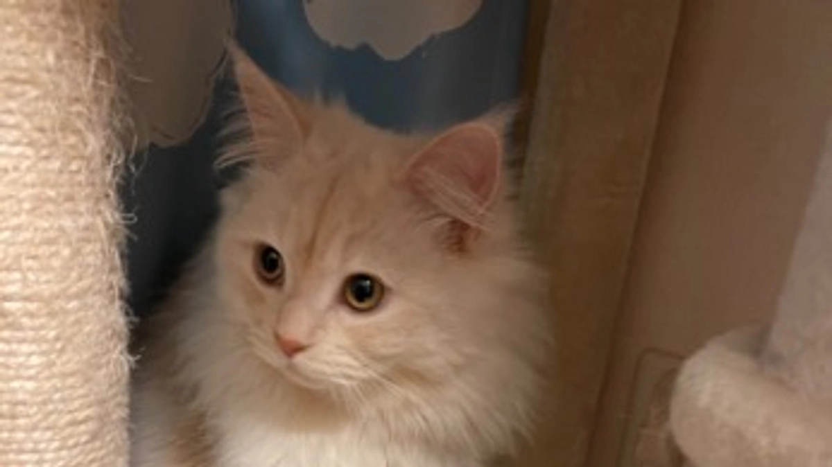 今日のトキ☀️