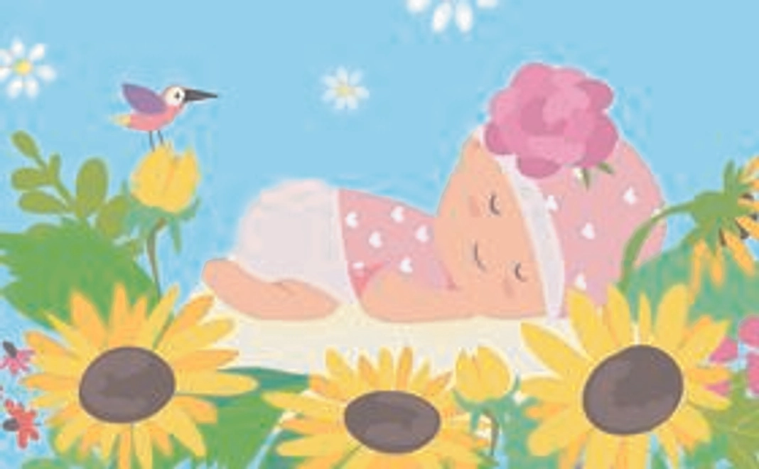 5千円応援コース