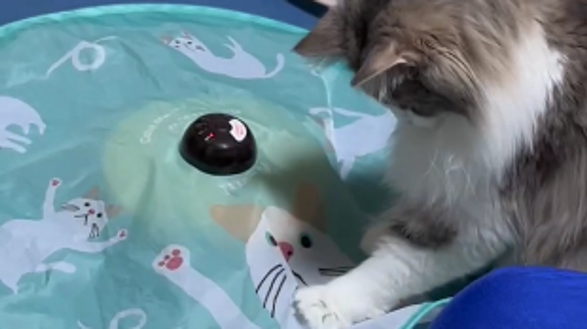 8/17元気に遊んでくれました😭