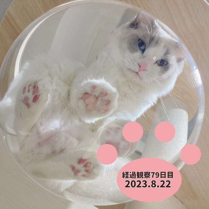 経過観察79日目(2023.8.22)