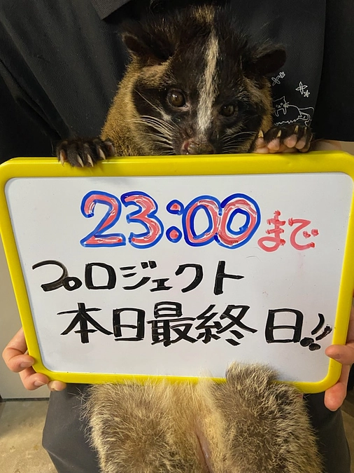 【本日最終日！！】23：00まで