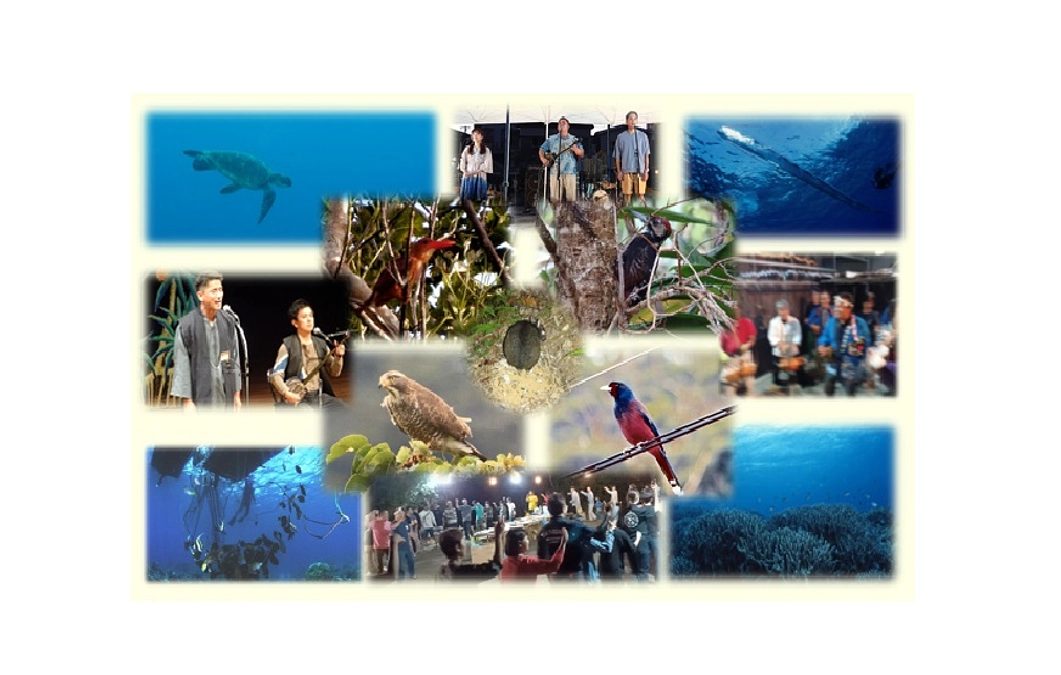 南洲翁龍愛未来塾公式サイトのリニューアル