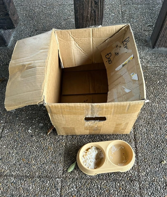 昨日は朝から親子猫の遺棄の現場へ。。。