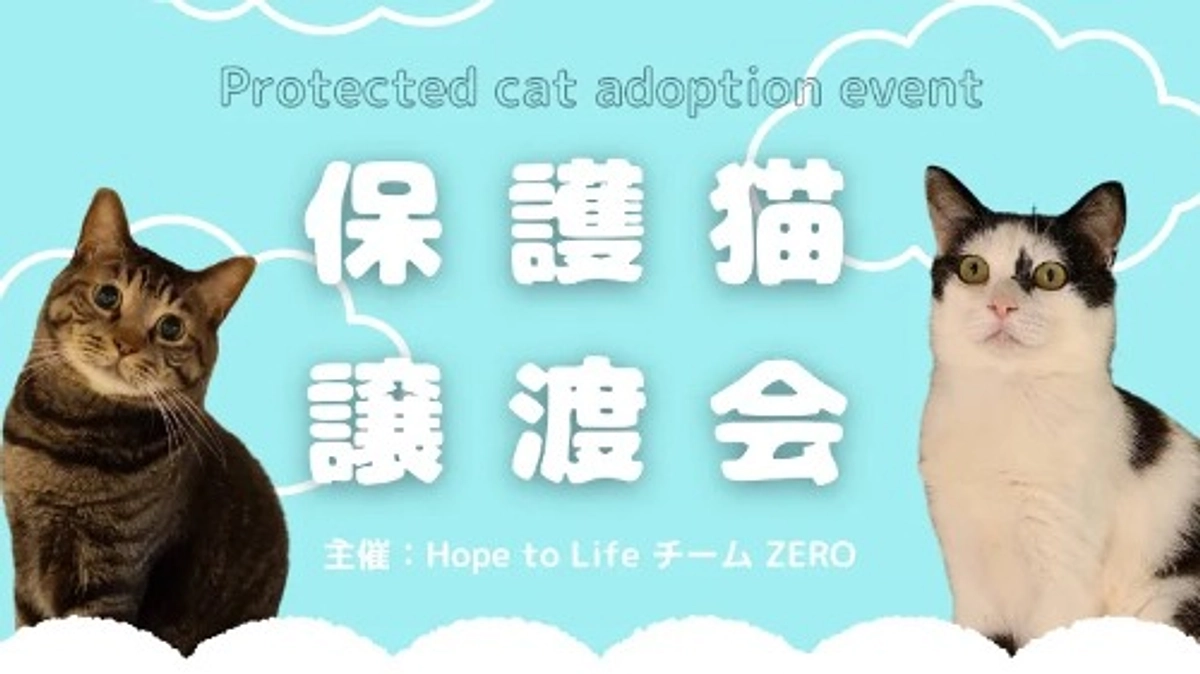 【残り6日です⭐️】テレビの力と、5月の譲渡会のお知らせ 📺