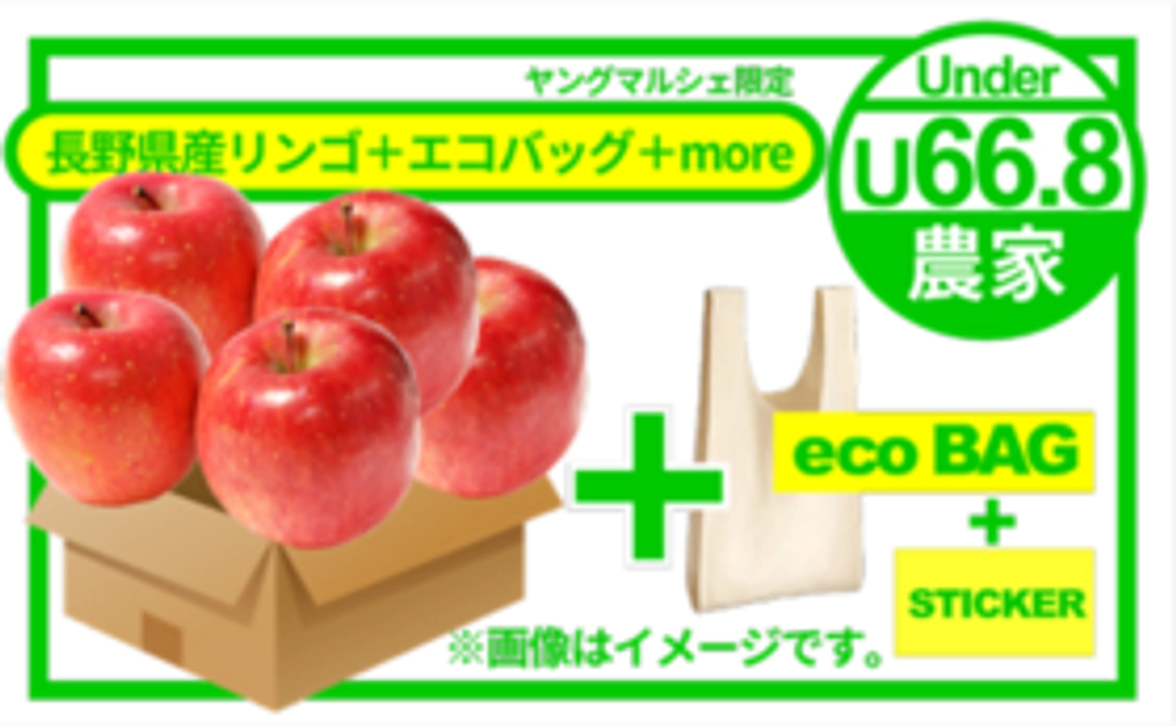 【農家さんの想いをお届けコース】長野県産りんご（1kg）