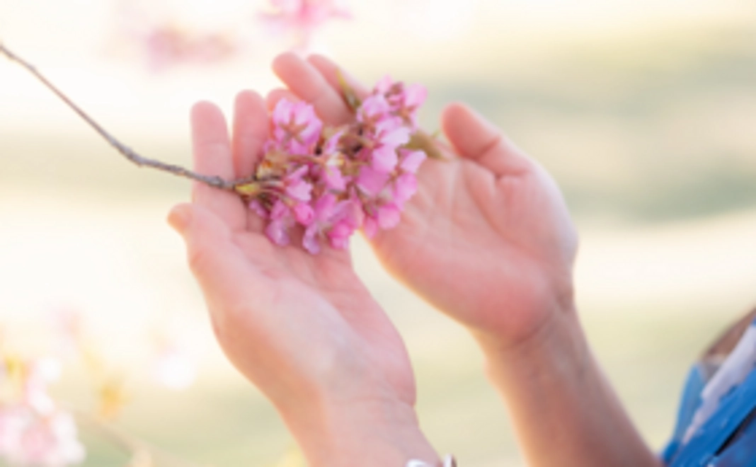 【気軽に応援】お礼のお手紙