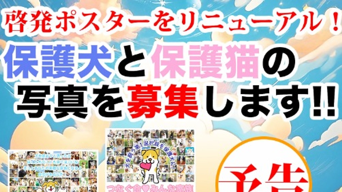 保護わんの啓発ポスターのデザインを刷新します！