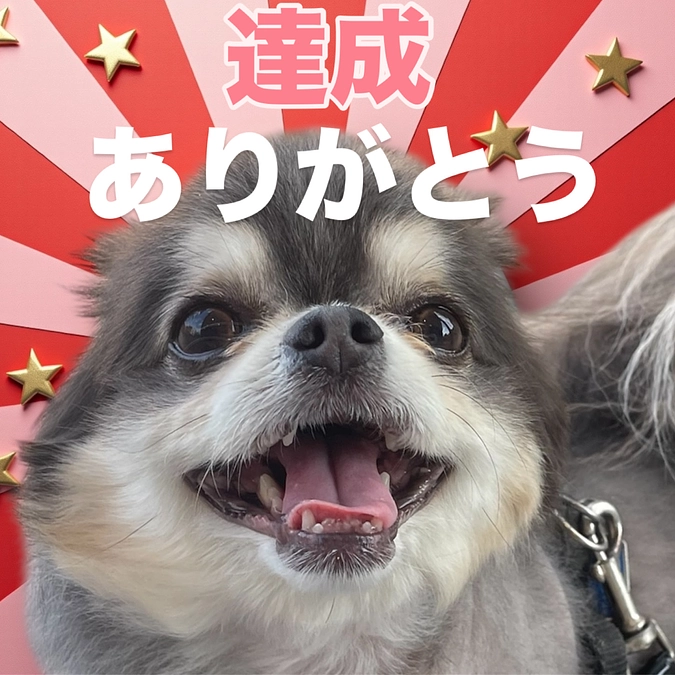 【達成】インスタライブのお知らせ㊗️