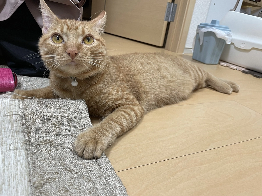 クラウドファンディングもカウトダウンに😳