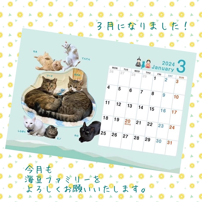 3月もよろしくお願いいたします