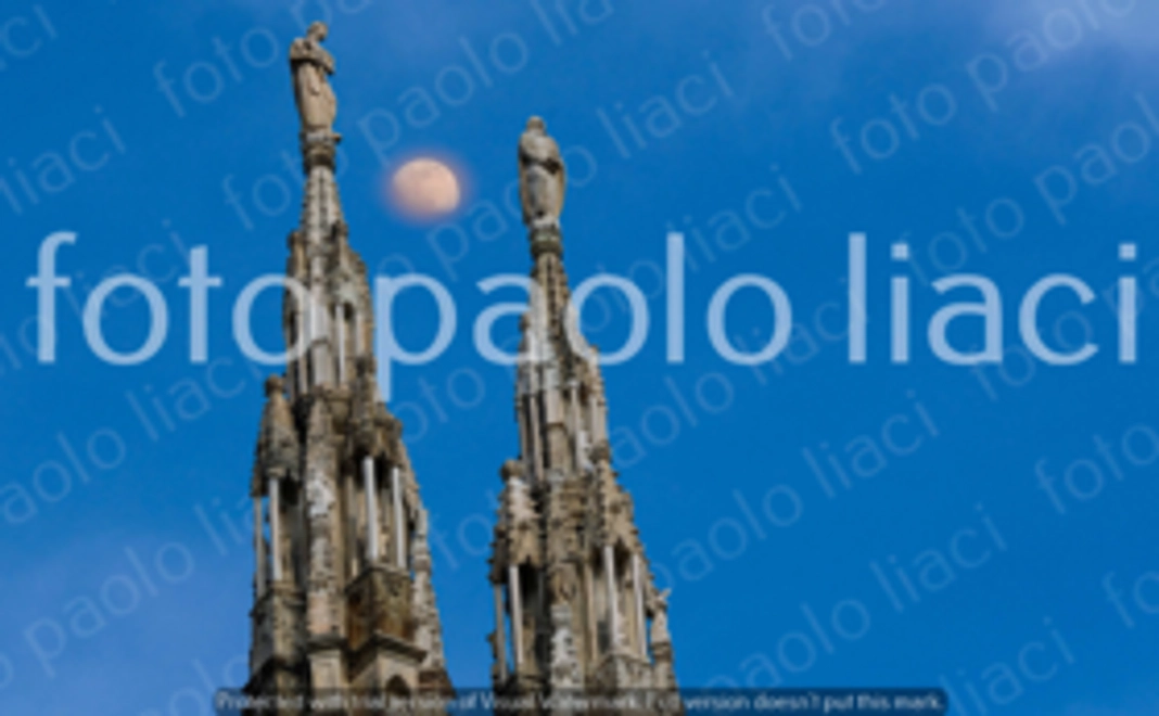 オリジナル写真つきメッセージ