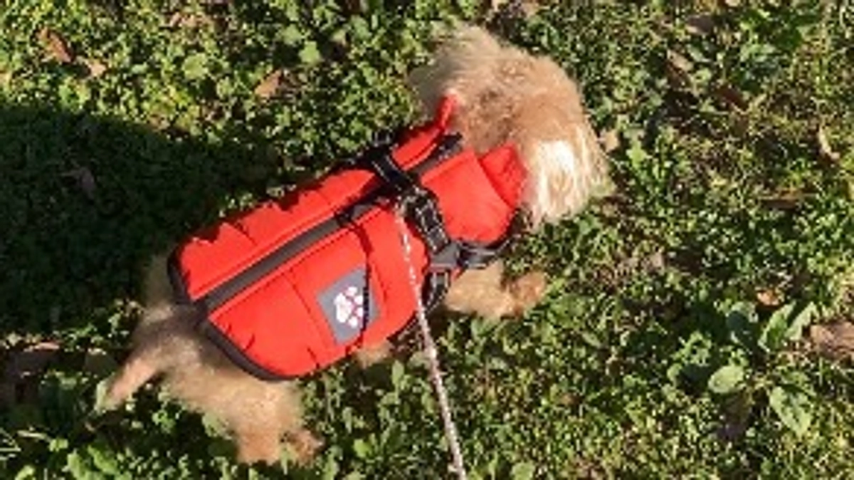 半年ぶりのお散歩