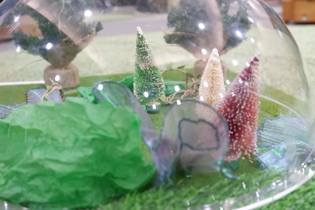 「森の空き地」ツアー日程詳細