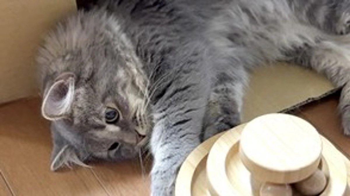 10/1  闘病35日目