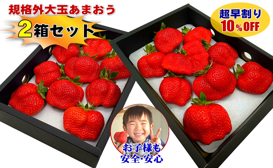 【超早割】（3月収穫分）規格外の大玉あまおう５００ｇ以上×２箱(3月収穫分)大玉あまおうギフト約500g×2箱