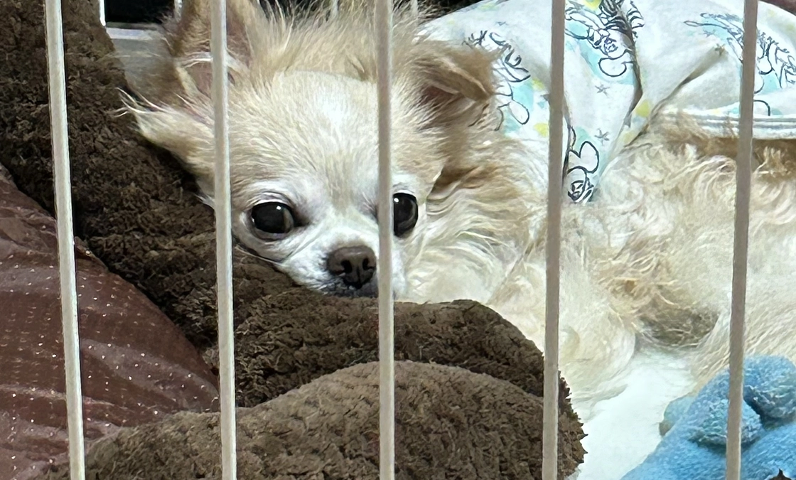 いつも温かいご支援・ご協力本当にありがとうございます🙇‍♀️