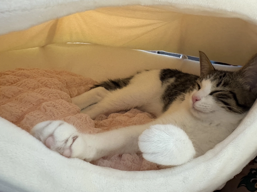 ありがとうございました🙏