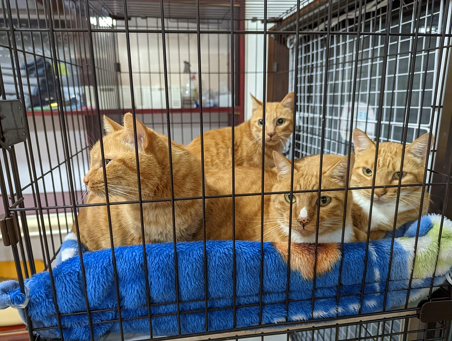 プロジェクトスタートとともに……