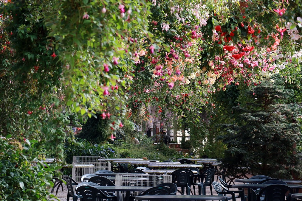 能登半島地震で被災された皆様に心よりお見舞い申し上げます。