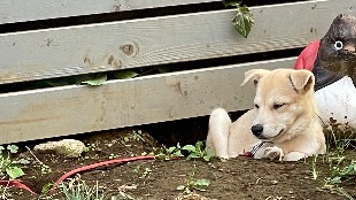 皆さんと繋いだ『命』