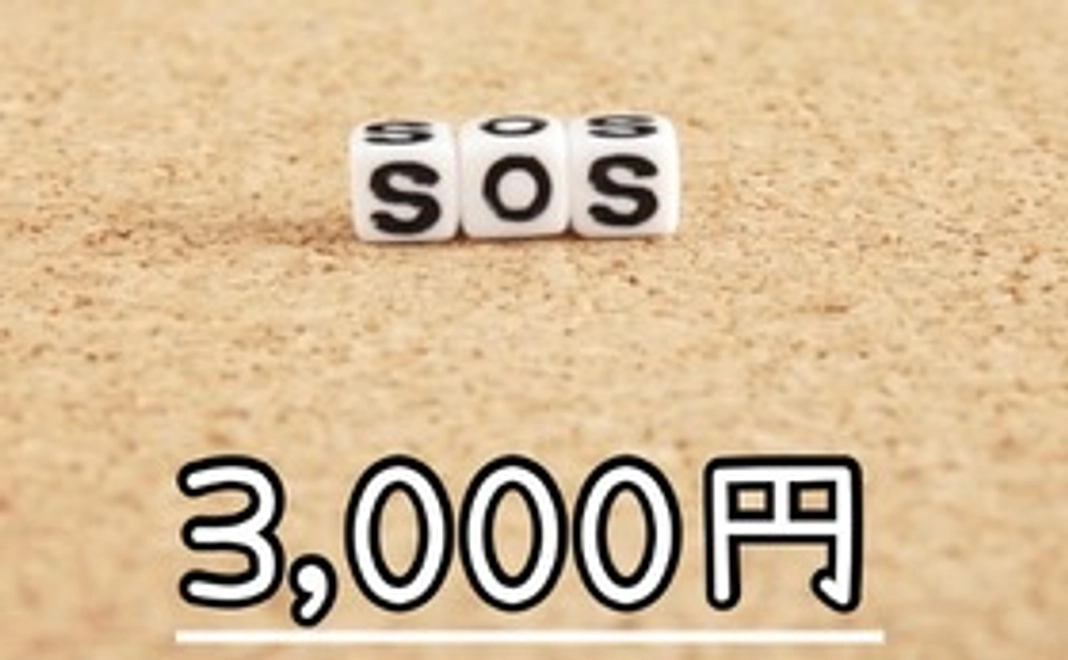 発達障がい、ADHD、自閉症、持病がある子どもたちに<3000円お気持ちプラン>