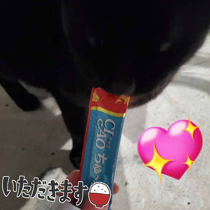 応援ありがとうございます。読んでいただけたら嬉しいです。