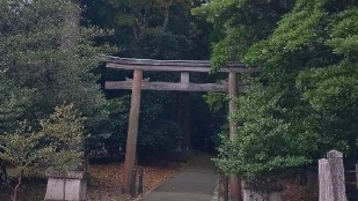 ようやく紅葉の季節を迎えました