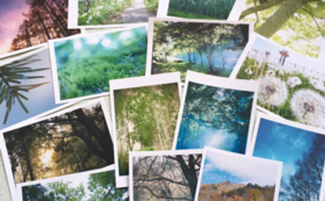 自然の声のポストカードセットのコース