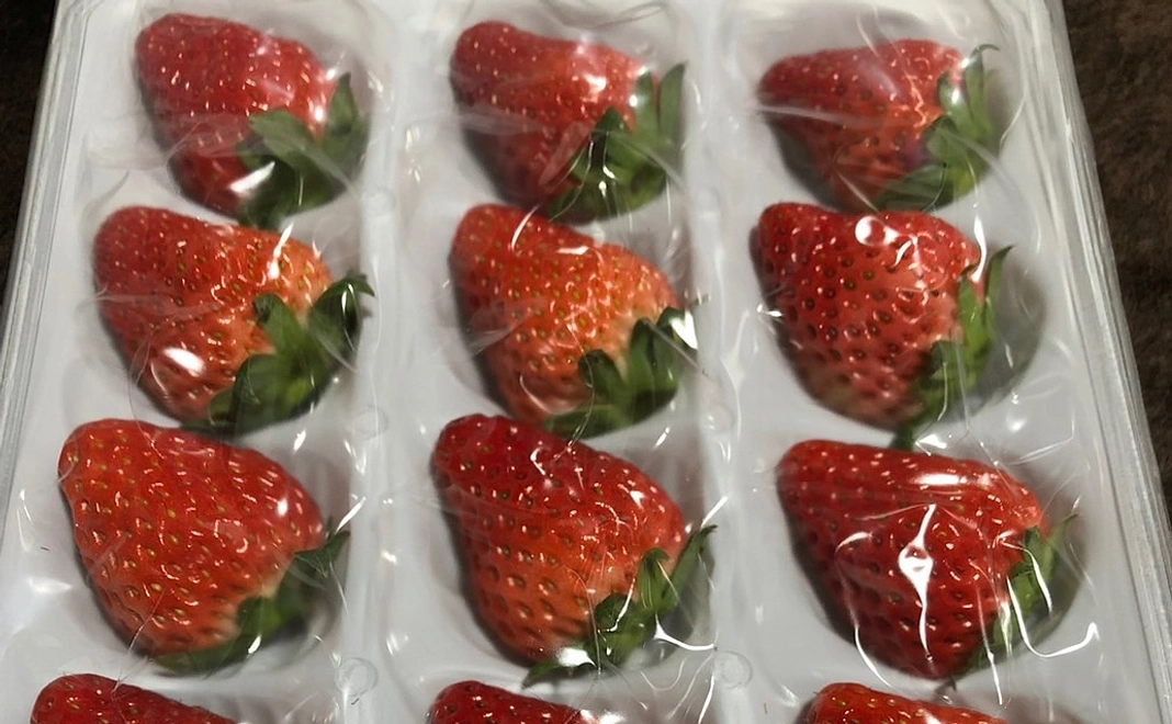 旬の苺をお送りします