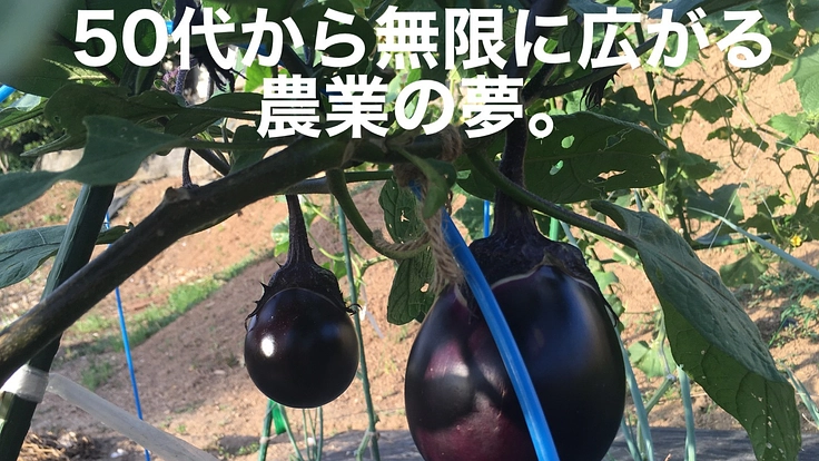 無限に広がる農業の夢。荒地を活用し美味しい野菜を作りたい