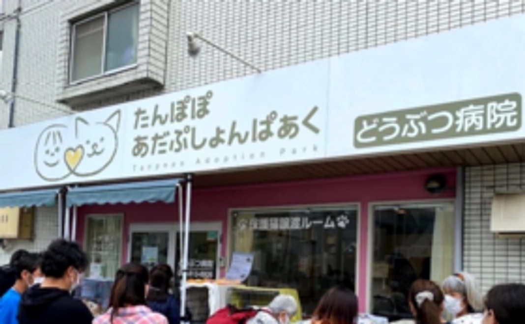 【3/11追加_限定15】貸し切りで猫たちと戯れ体験｜5万円