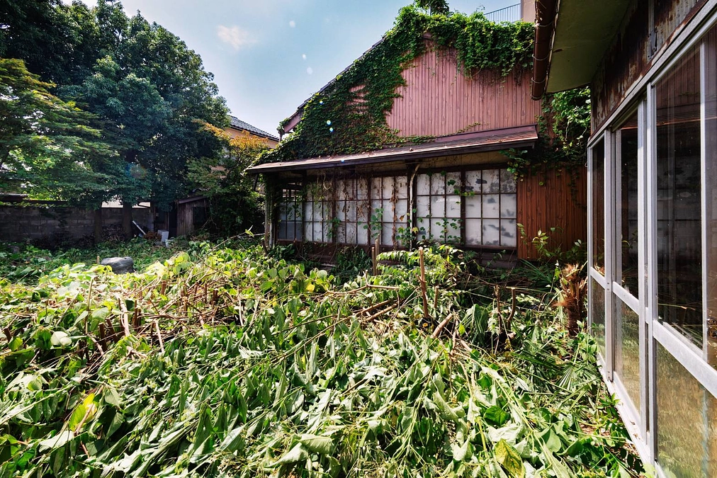 改めてクラウドファンディングのご支援御礼申し上げます！施設裏庭の草刈りを実施しました！