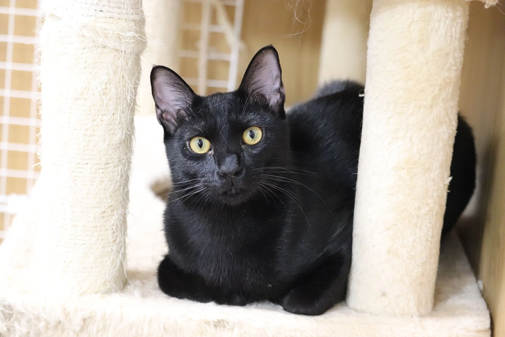 「颯」「珊瑚」「あけび」のお家が決まりました！