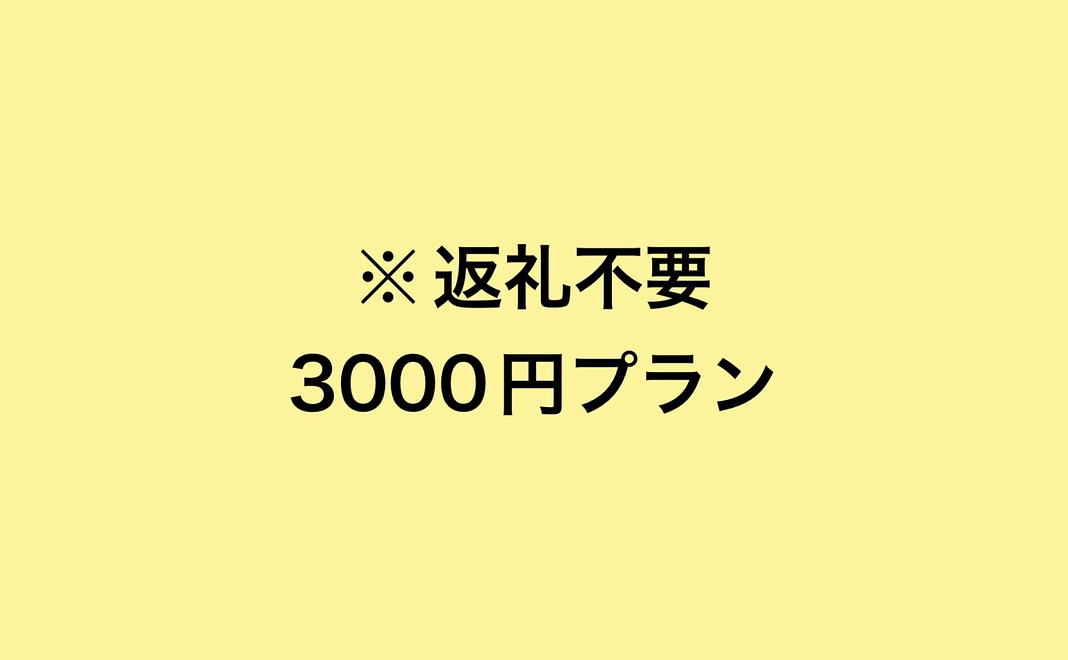 ※返礼不要　3000円プラン