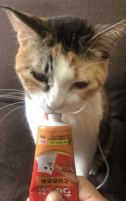 経過報告◆退院後　2週目