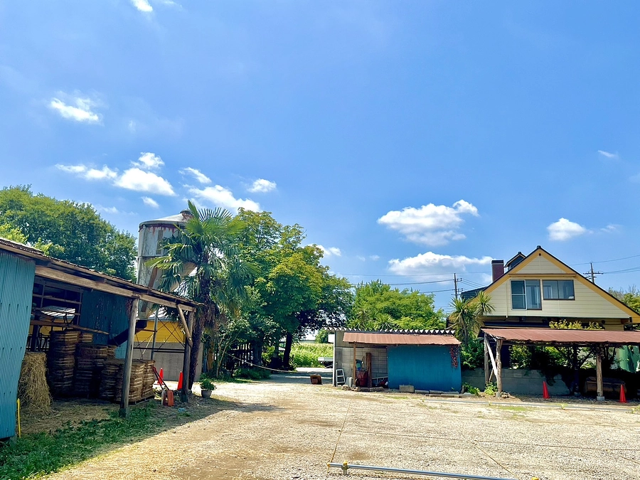 タンジョウファーム、バージョンアップ奮闘中　その２