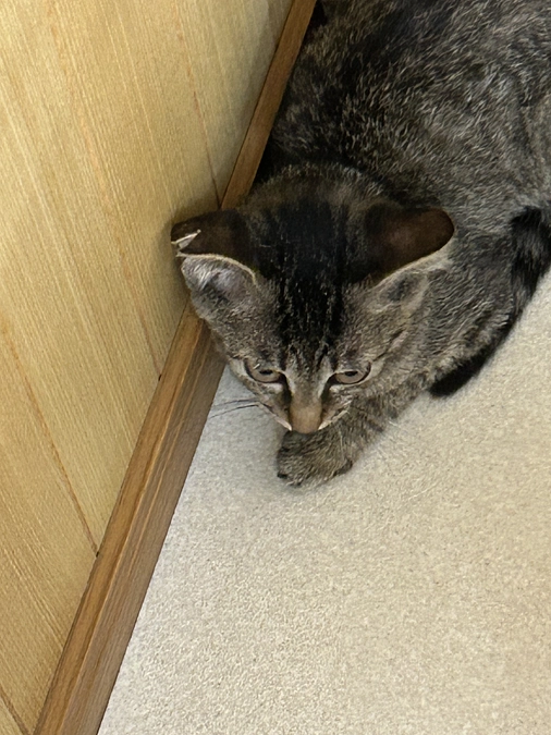 【７２％までこれましたが残り１０日】あと１４０万円！