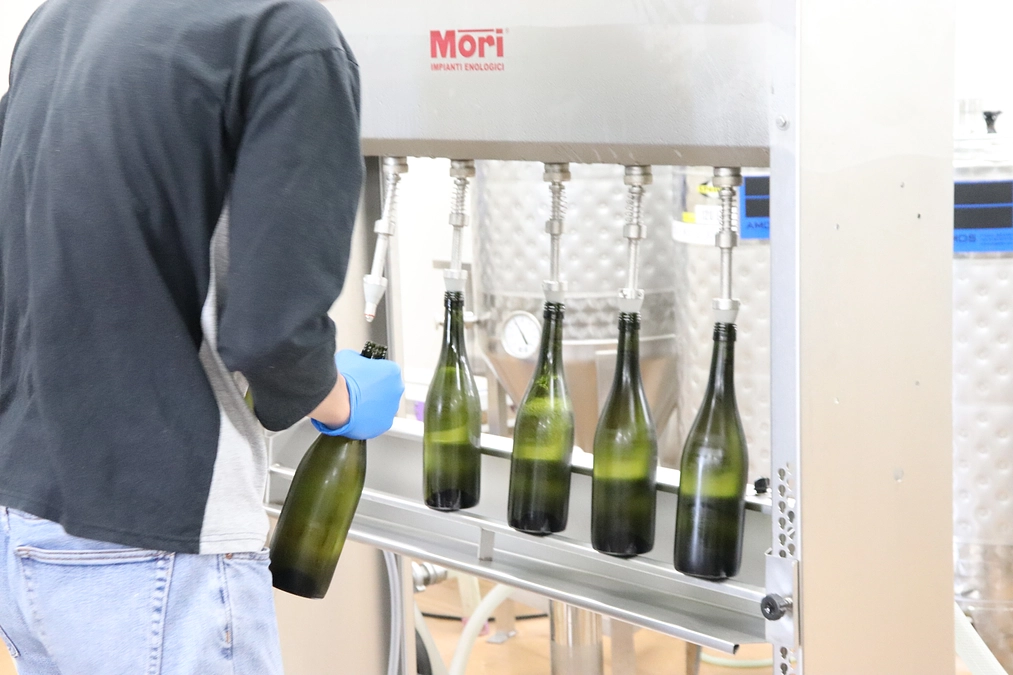 学生が仕込んだワイン、いよいよ瓶詰へ——販売に向けて着々と準備中