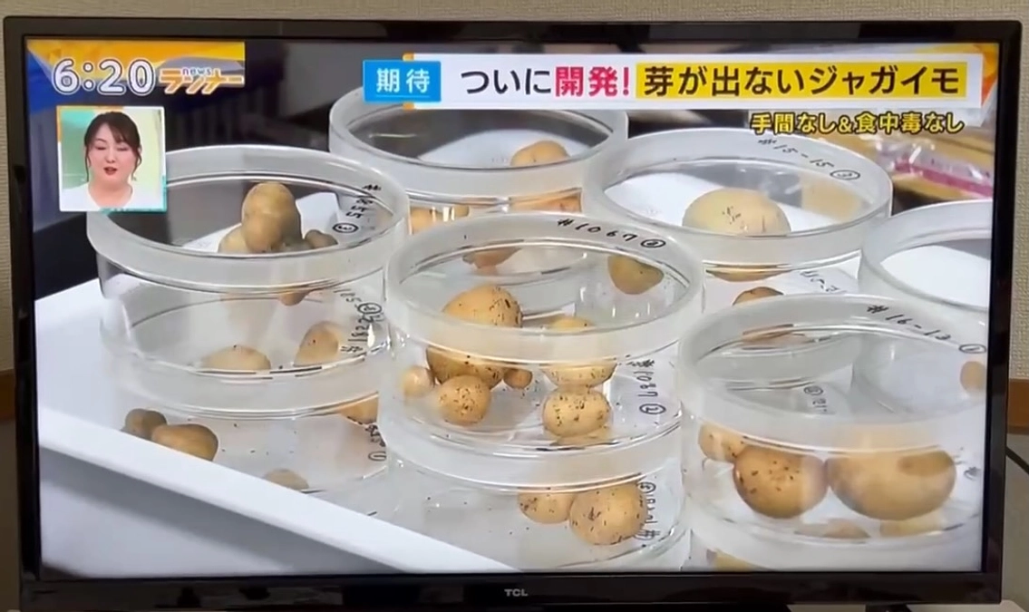 関西テレビのnewsランナーでとりあげていただきましたー残り一時間と少しです！