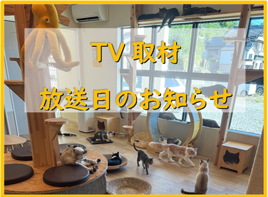 TV取材の放送予定　他 イベントスケジュールのお知らせ
