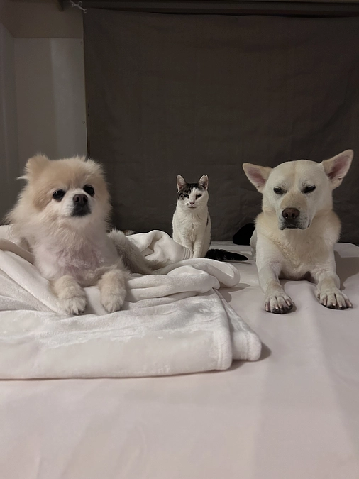 20/59 ☆ おやつが届いた