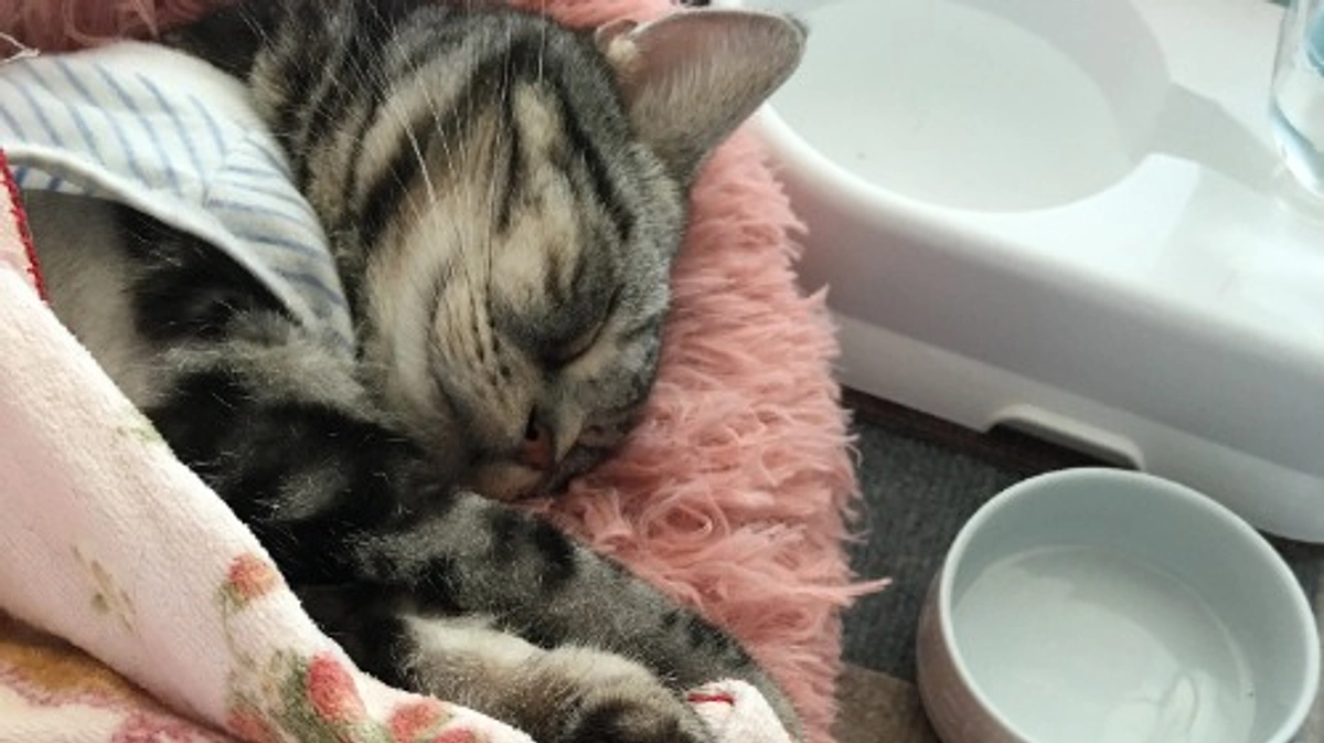 呼吸が随分と楽なようです。