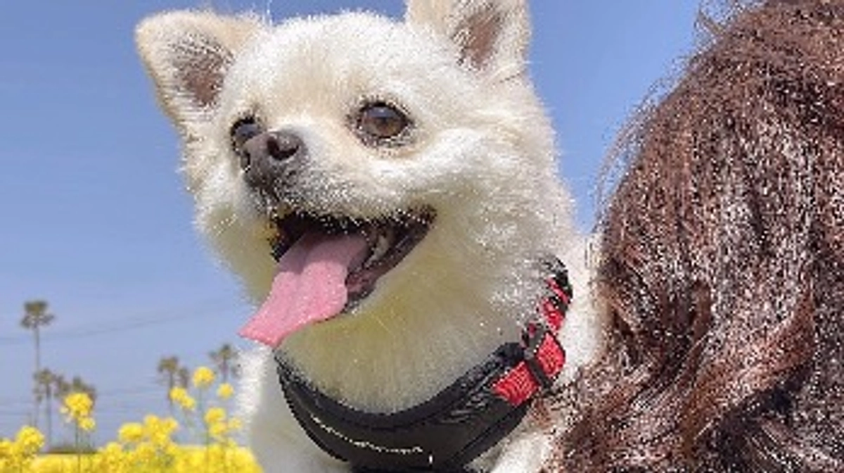 🆘🆘残り3日🆘🆘