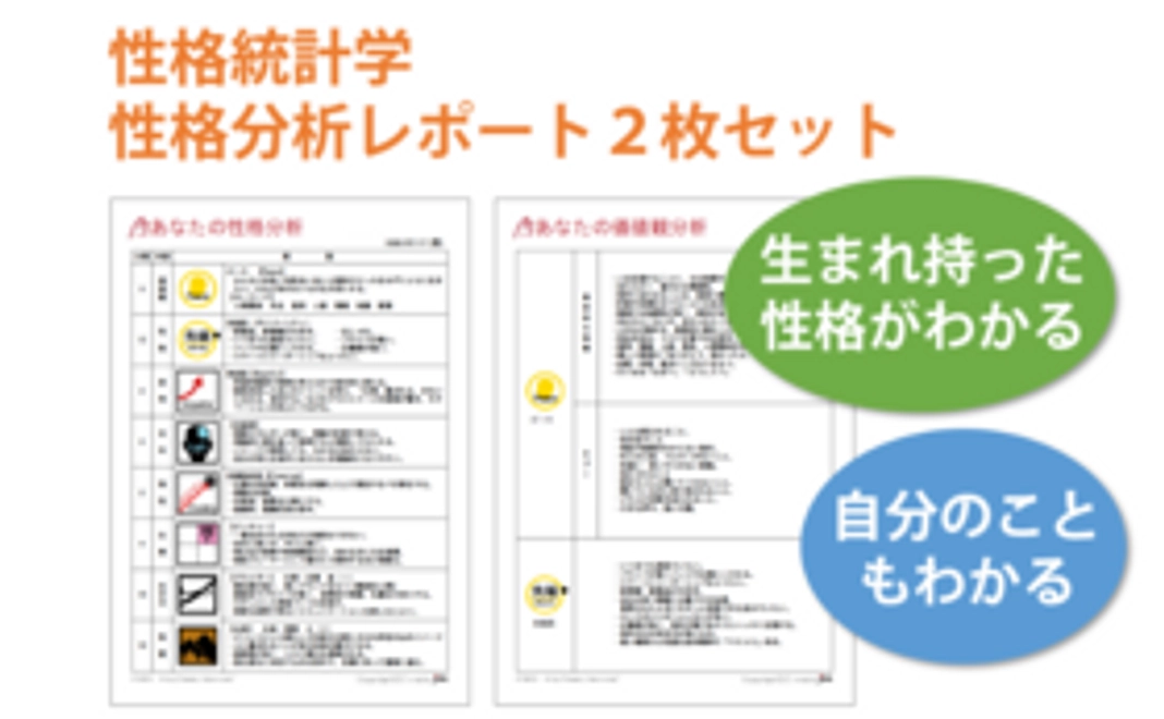 性格統計学　性格分析レポート２枚セット