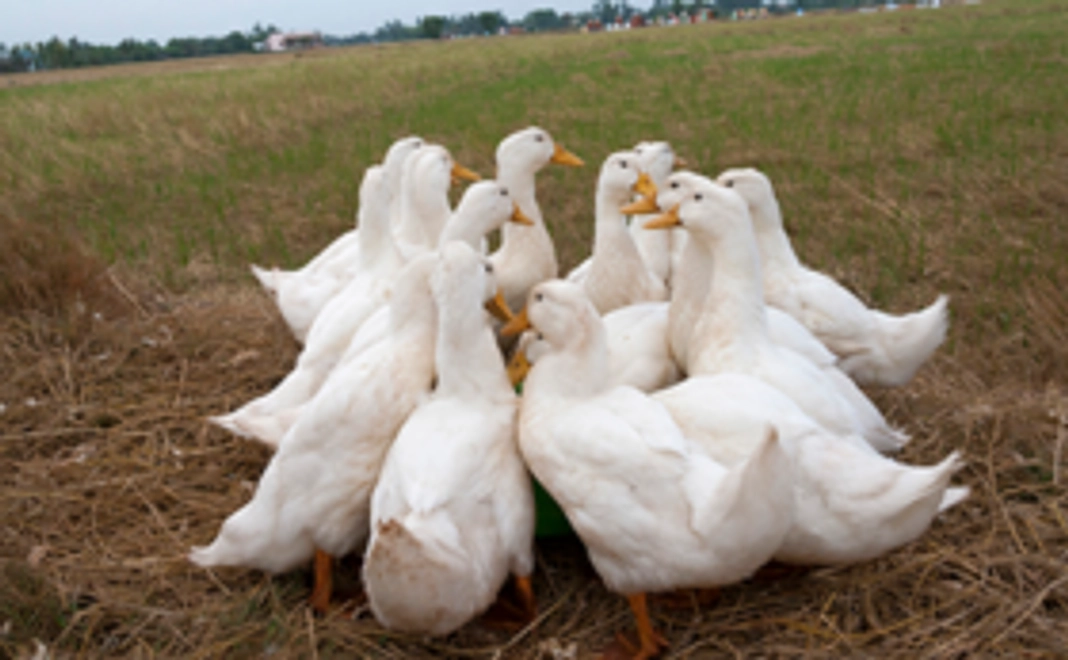 お礼状とポストカード
