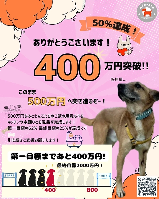 【目標の半分‼︎】念願のドッグランが…。。。